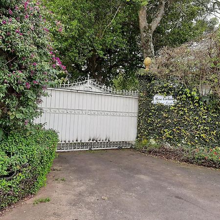 Ferienwohnung Rosa Cortiana Escalera São Gabriel Exterior foto